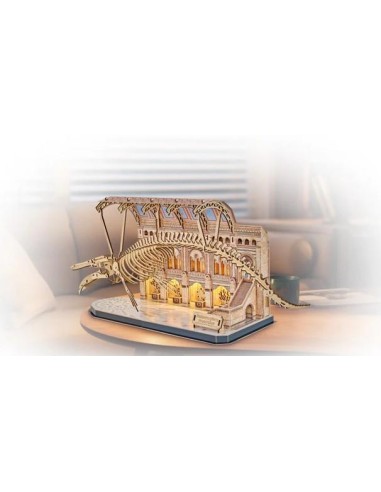 NATURAL MUSEUM - BOOK NOOK KIT - Balaine Bleue...