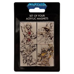 LES MAITRES DE L'UNIVERS - Set de 4 aimants 2