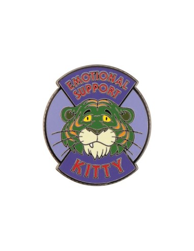 LES MAITRES DE L'UNIVERS - Mystery Box de 12 Pin's