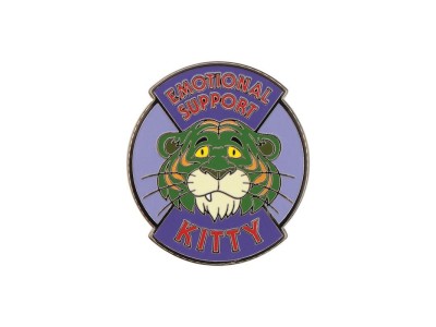 LES MAITRES DE L'UNIVERS - Mystery Box de 12 Pin's