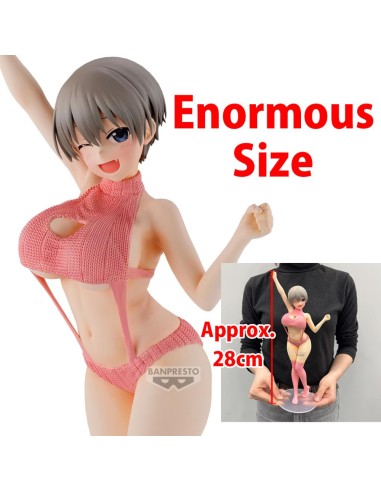 UZAKI-CHAN WANTS TO HANG OUT - Hana Uzaki -...
