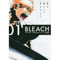 BLEACH - Tome 1 - PERFECT EDITION