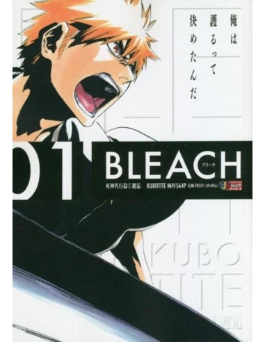 BLEACH - Tome 1 - PERFECT EDITION