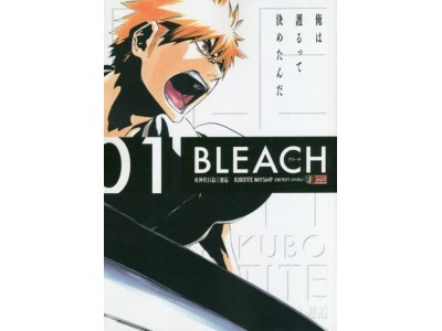 BLEACH - Tome 1 - PERFECT EDITION