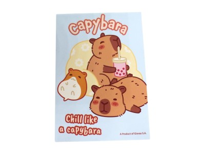 CAPYBARA - Set de Papeterie - 5pc.