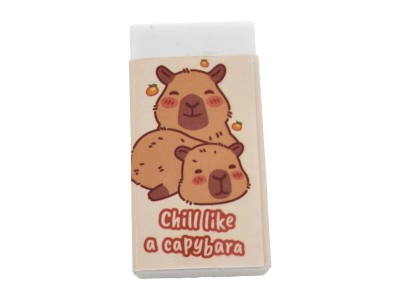CAPYBARA - Set de Papeterie - 5pc.
