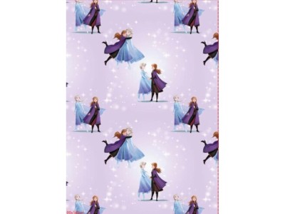 LA REINE DES NEIGES - Anna & Elsa - Couverture Flanelle 110x150cm