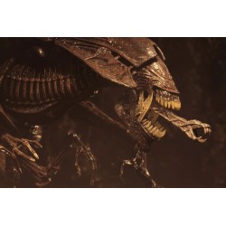 ALIEN RESURRECTION - Reine Alien - Figurine Ultra Deluxe... 2