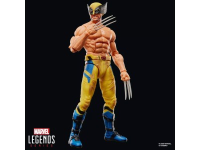 DEADPOOL & WOLVERINE - Wolverine - Figurine Legends Series 15cm