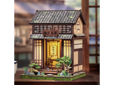 BOOK NOOK KIT - DIY - Kirishima Cha-an - 145pc + Eclairage LED