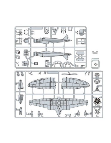 LE VENT SE LEVE - Avion Type 9 Prototype -...