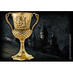 HARRY POTTER - La Coupe de Helga Poufsouffle 2