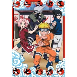 NARUTO - Puzzle 300P