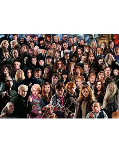 HARRY POTTER - Puzzle Challenge 1000P
