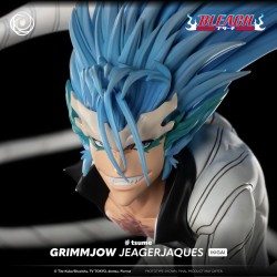 BLEACH - Grimmjow - Statue Résine 1/6 By Tsume 36cm 2