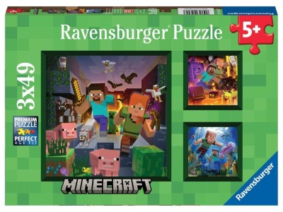 MINECRAFT - Biomes - 3 Puzzle 49P