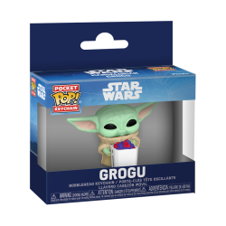 MANDALORIAN & GROGU - Pocket Pop Keychains - Grogu With... 2