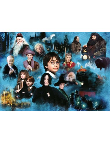 HARRY POTTER - Le Monde de Harry Potter -...