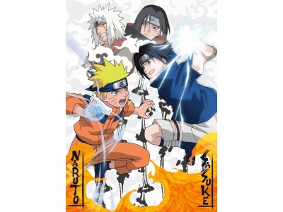NARUTO - Naruto vs Sasuke - Puzzle 1000P