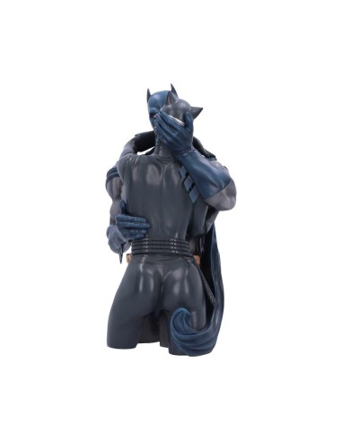 BATMAN - Batman & Catwoman - Buste 30cm