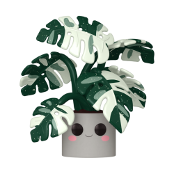 FLORA - POP JUMBO N° 13 - Monstera