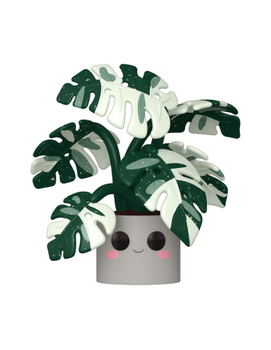 FLORA - POP JUMBO N° 13 - Monstera