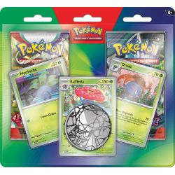 Duo Pack Evarlate et Violet