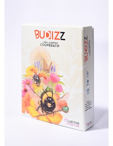 BUDIZZ
