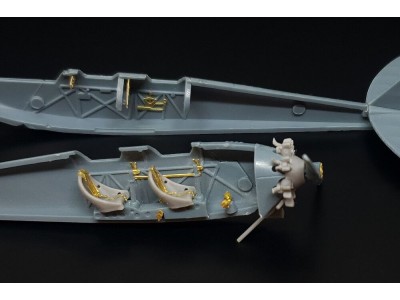 Caproni Ca.100
