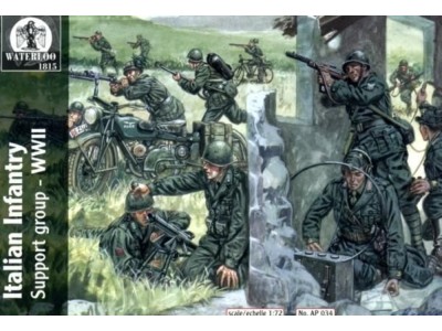 Italian Infantry Support group WWII