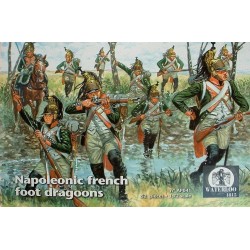 Napoleonic french foot dragoons