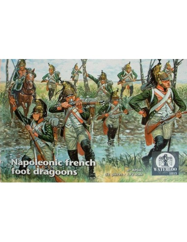 Napoleonic french foot dragoons