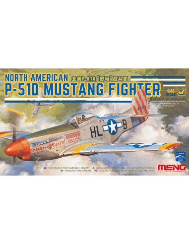 North American P-51D Mustang Fighter