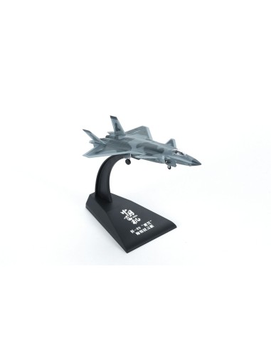 J-20 Stealth Fighter (Finished Model)