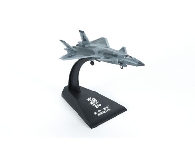 J-20 Stealth Fighter (Finished Model)