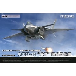 Chinese J-20 Stealth Fighter