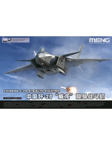 Chinese J-20 Stealth Fighter