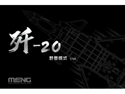 Chinese J-20 Stealth Fighter Beast Mode