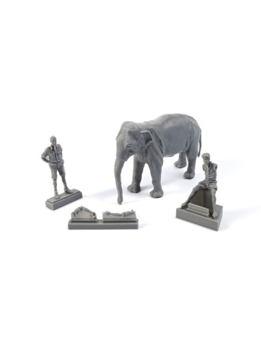 WWII RAF Mechanic in India+Elephant with Mahout...