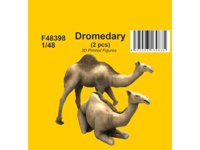 Dromedary (2 pcs) 1/48
