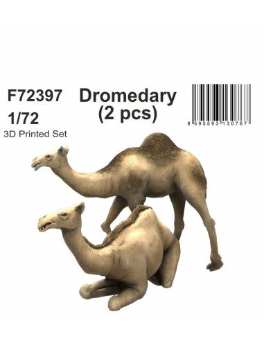 Dromedary (2 pcs) 1/72