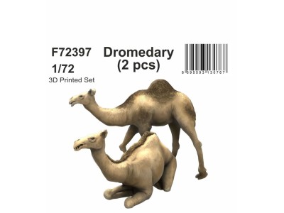 Dromedary (2 pcs) 1/72