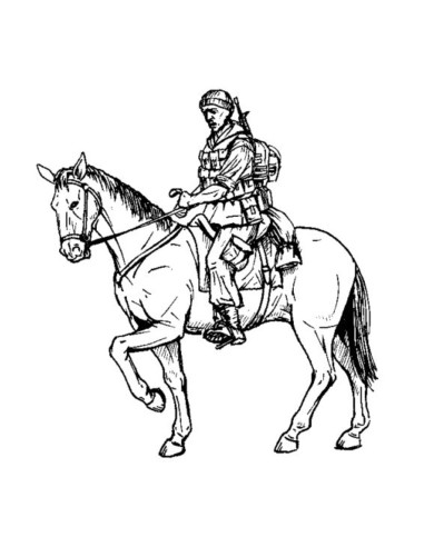 US mounted soldier in Afganistan (1 fig & horse)