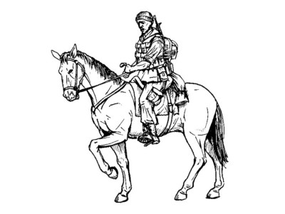 US mounted soldier in Afganistan (1 fig & horse)