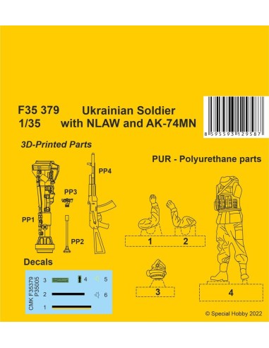 Ukranian Soldier with NLAW and AK-74MN