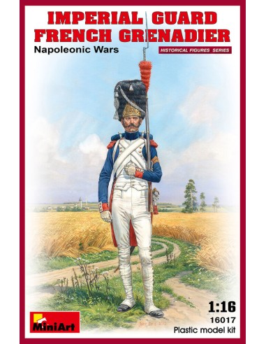 Imperial Guard French Grenadier. Napoleonic Wars