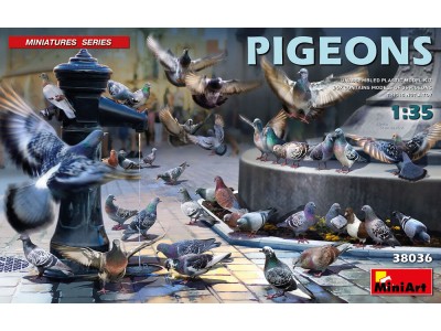 Pigeons