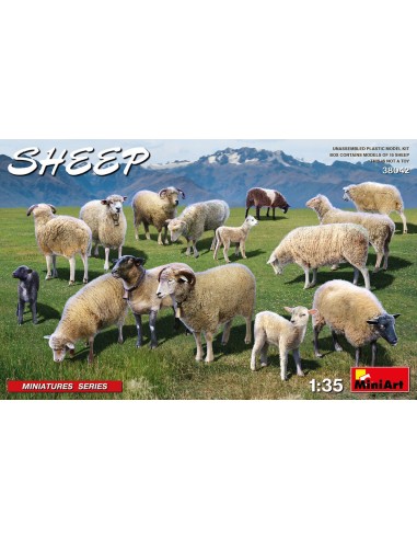 Sheep