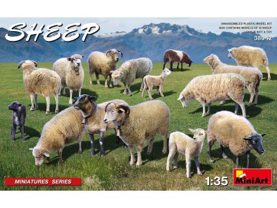 Sheep