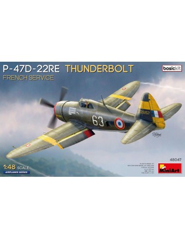 P-47D-22RE Thunderbolt. French Service. Basic Kit